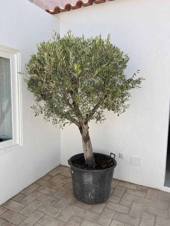 Casa De Santa Rita Villa Vila Nova de Cacela Eksteriør billede